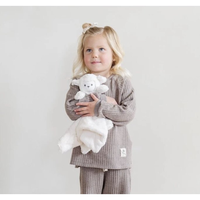 Stuffed Animal Lovey